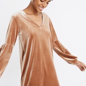 NWT! Madewell velvet balloon-sleeve dress sz S